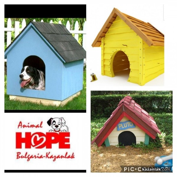 Animal Hope Bulgaria- Kazanlak кани доброволци заедно да “оцветят“ кучешкия приют  / Новини от Казанлък