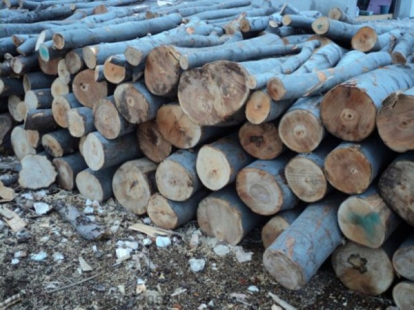 Униформените проверяваха домове за дърва без контролна горска марка / Новини от Казанлък