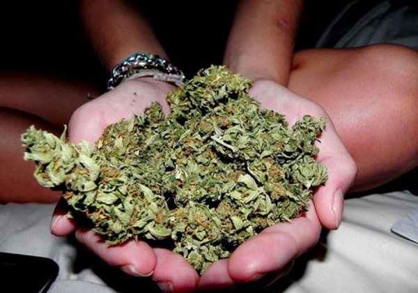 След спецакция: Откриха над 8 кг марихуана и 380 саморъчно свити цигари в Долно Сахране / Новини от Казанлък