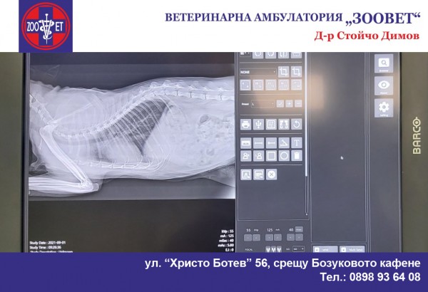 Дигитален рентген за животни - единствено във ветеринарна амбулатория „Зоовет“ / Новини от Казанлък