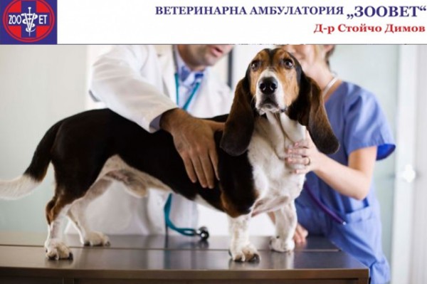 Във ветеринарна амбулатория „Зоовет“ - кампания за профилактика на трансмисивните заболявания  / Новини от Казанлък