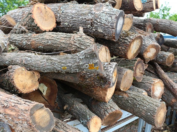 Почти 4 кубика дърва без марка откриха в дома на жена / Новини от Казанлък