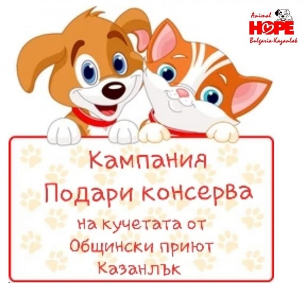 Стартира кампанията “Подари консерва“ за кучетата в приюта  / Новини от Казанлък