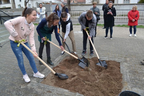 Кирковци посадиха копринено дърво пред училището си / Новини от Казанлък