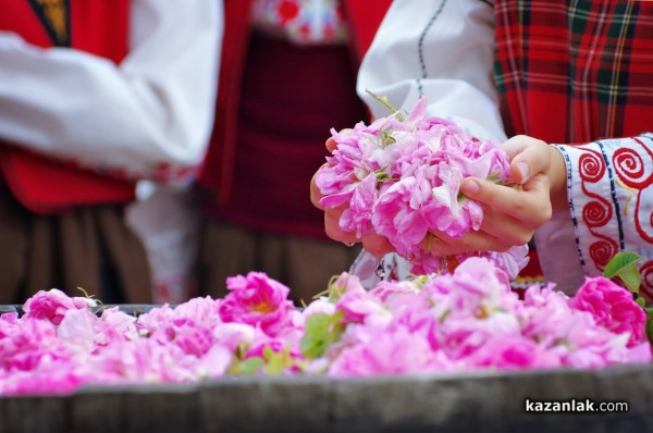 Националният исторически музей показва изложба посветена на маслодайната роза / Новини от Казанлък