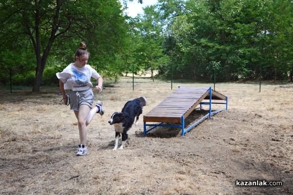 Откриха нов кучешки парк до Колодрума. Скоро и в Източното / Новини от Казанлък
