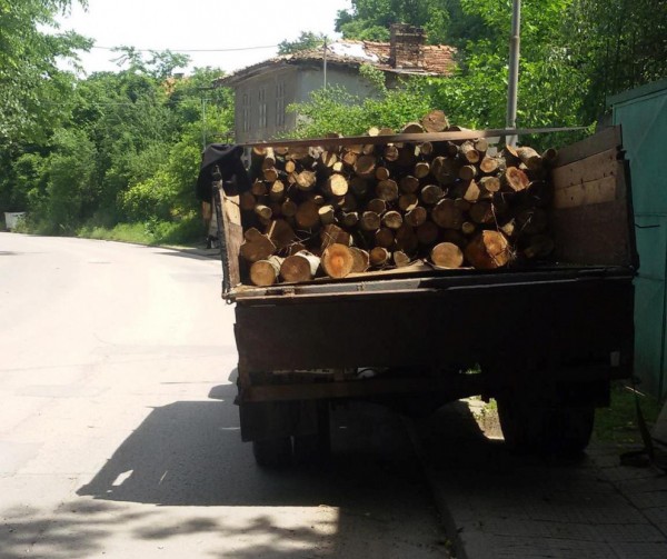 Откриха 8 кубика незаконни дърва в дома на мъж от Николаево / Новини от Казанлък