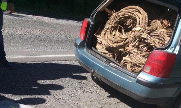 70 метра кабели изчезнаха край Ягода / Новини от Казанлък