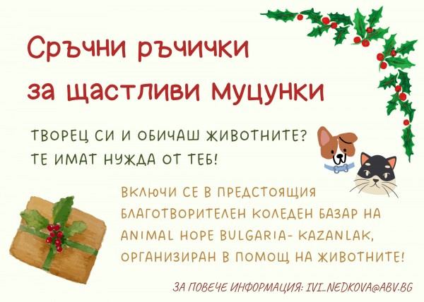 Готвят тридневен коледен базар в помощ на бездомните животни в Казанлък / Новини от Казанлък