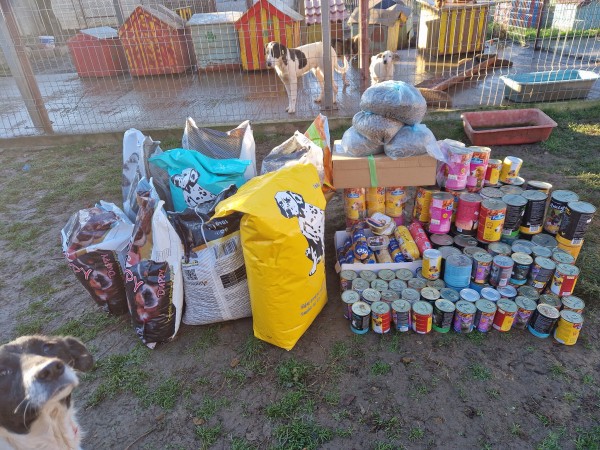 Кампанията “Подари консерва“ събра над 390 кг. храна за кучетата в приюта  / Новини от Казанлък