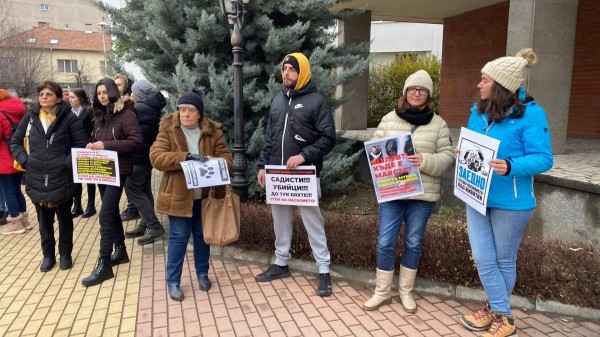 Десетки казанлъчани излязоха на протест срещу насилието над животни / Новини от Казанлък