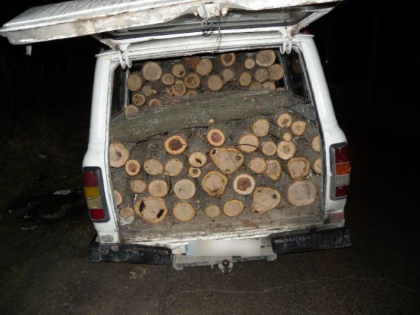 Задържаха мъж и жена от Казанлък, откраднали дърва за огрев в Розово / Новини от Казанлък