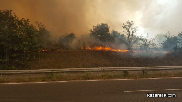 Пожар изпепели 12 декара иглолистна гора край Ветрен  / Новини от Казанлък