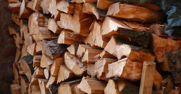 Откриха над 20 кубика незаконни дърва в имот в с. Горно Черковище / Новини от Казанлък