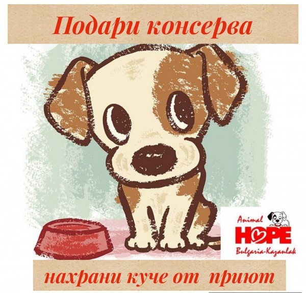 Фондация “Animal Hope Bulgaria“ - Казанлък стартира благотворителната кампания “Подари консерва - нахрани куче от приют“ / Новини от Казанлък