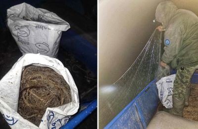 Инспекторите на ИАРА върнаха в язовир “Жребчево“ над 50 кг риба / Новини от Казанлък