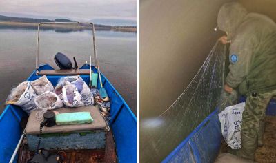 Над 100 кг риба беше спасена в язовир “Жребчево“ / Новини от Казанлък