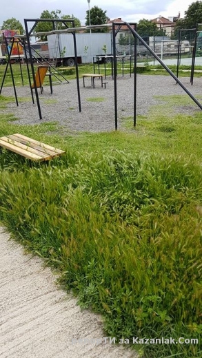 Тревата е на височината на пейките