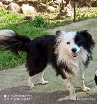 ����� ��!